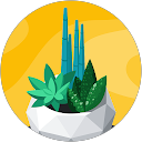 Angelus Raina profile picture