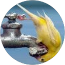 Jainul Abudeen profile picture